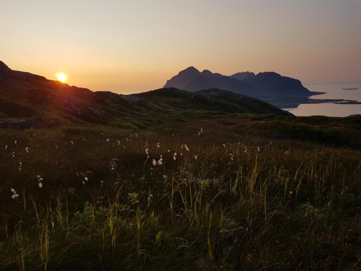 Villa Walter Lofoten With Sauna Kvalnes  Exterior foto