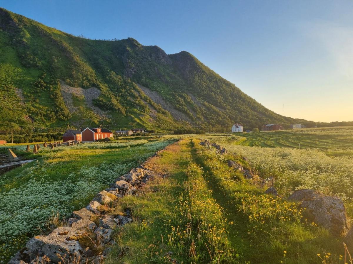 Villa Walter Lofoten With Sauna Kvalnes  Exterior foto