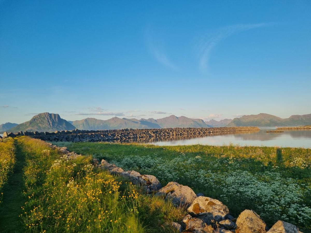 Villa Walter Lofoten With Sauna Kvalnes  Exterior foto